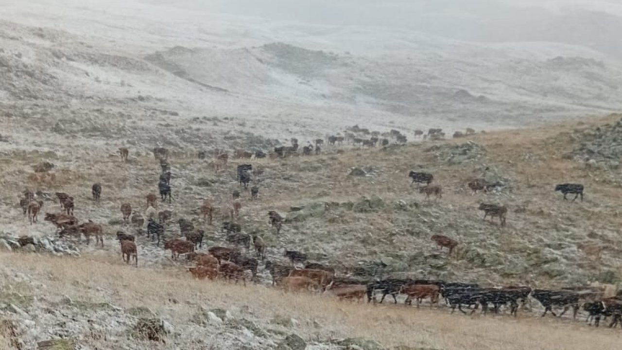Erzurum’un yüksek kesimleri beyaza büründü