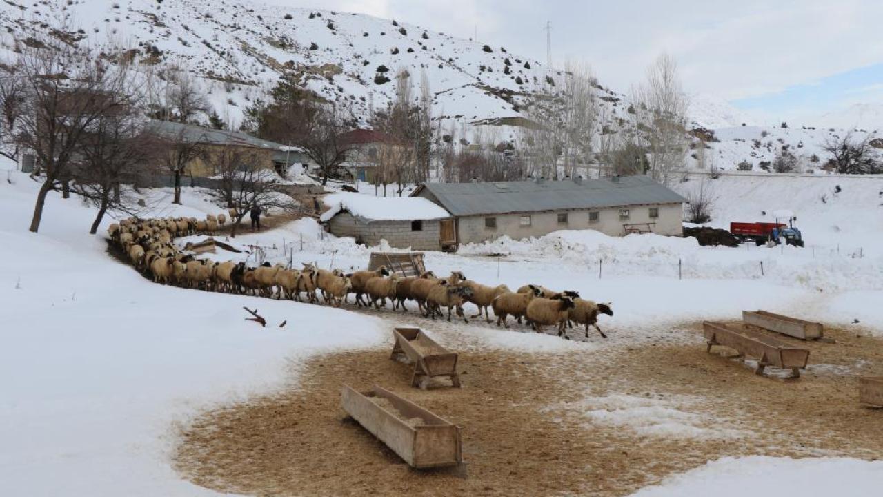 Çiftçilere kar ve tipi uyarısı