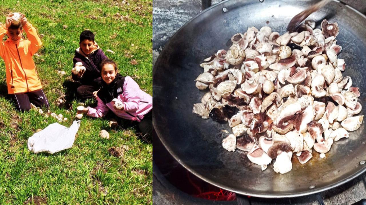 Kars’ta mantar kebap bir başka