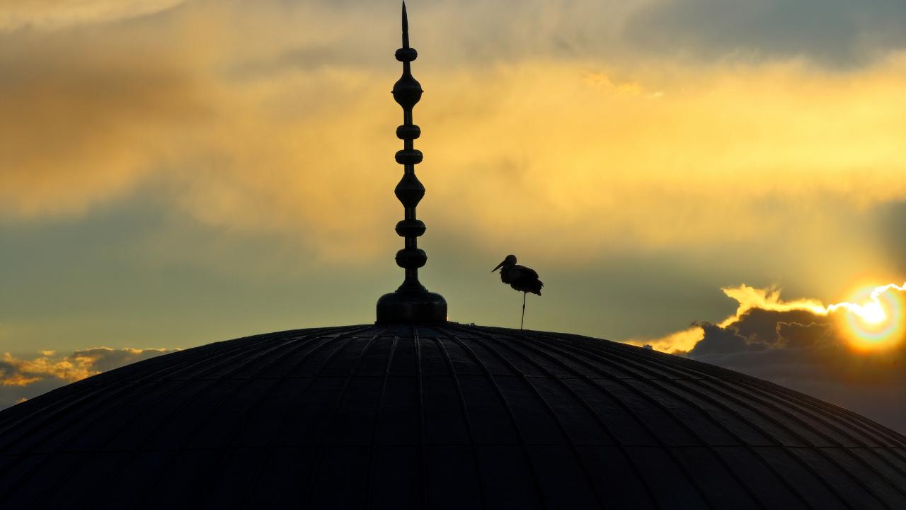 Cami kubbesine konan leylek görsel şölen sundu