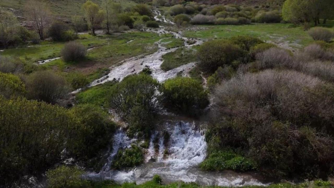 Erzincan'da Ağ Nene suyunun sırrı