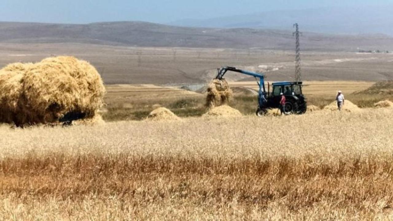 Karslı çiftçiler TMO fiyatlarından memnun değil