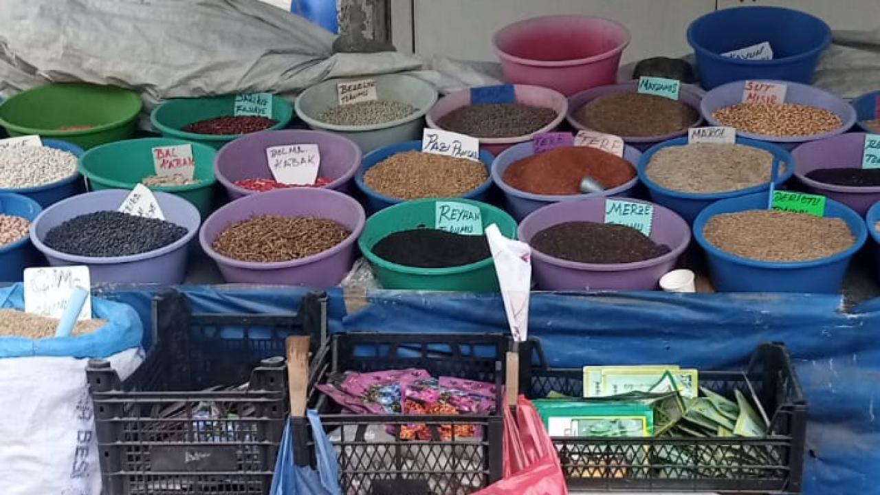 Karslı üreticiler bostan ekimine başlıyor