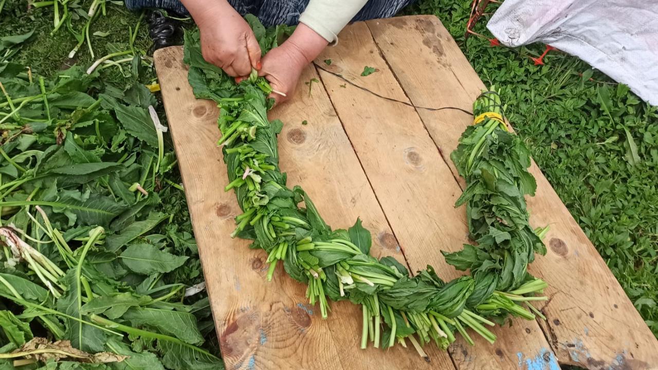 Kars'ta evelik otları örülerek kışa hazırlanıyor
