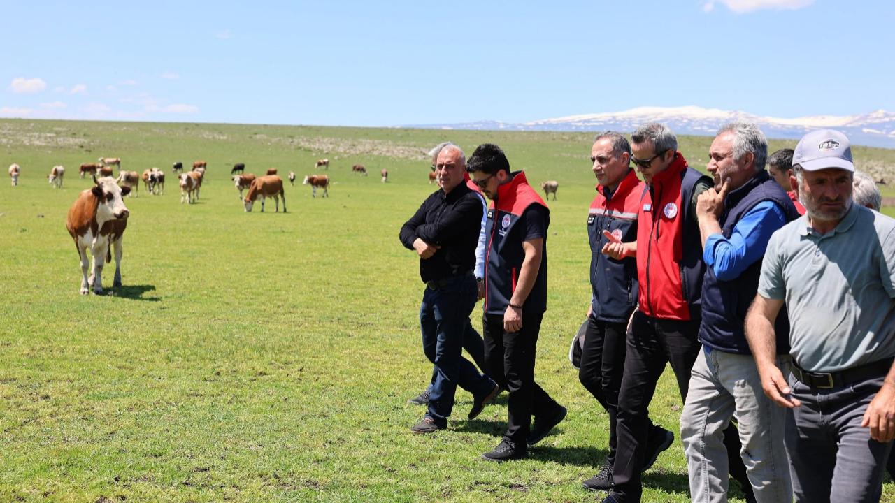 Kars’ta mera ve hayvancılık faaliyetlerine yakın takip