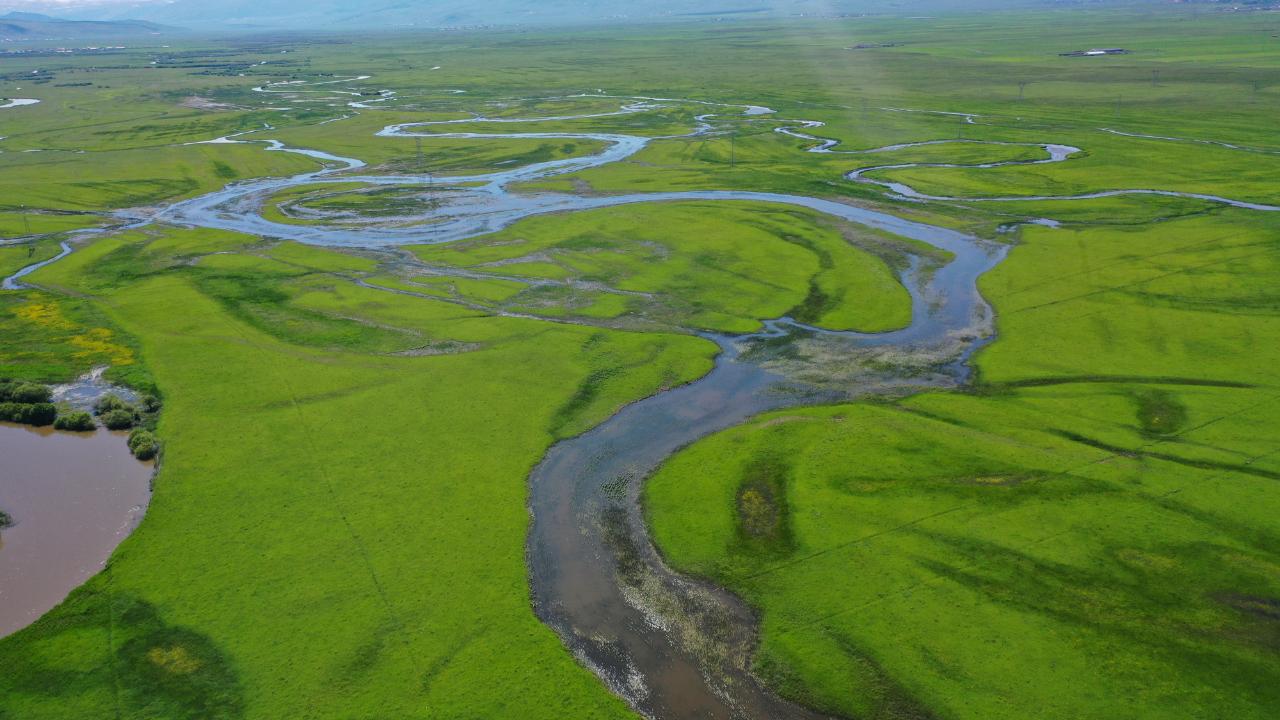 Kura Nehri'nin menderesleri yeşilin tonlarıyla renklendi