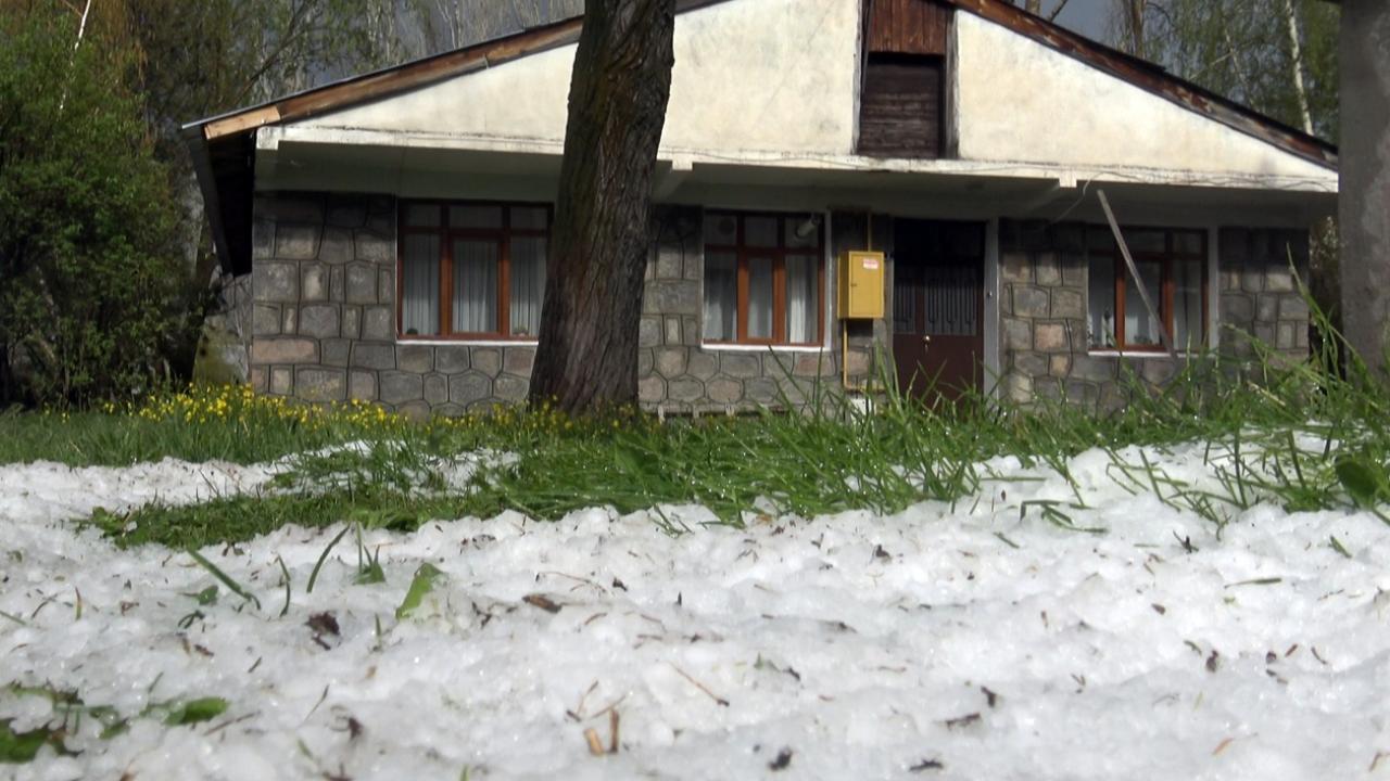 Sarıkamış'ta dolu yağışı yeşil alanları vurdu