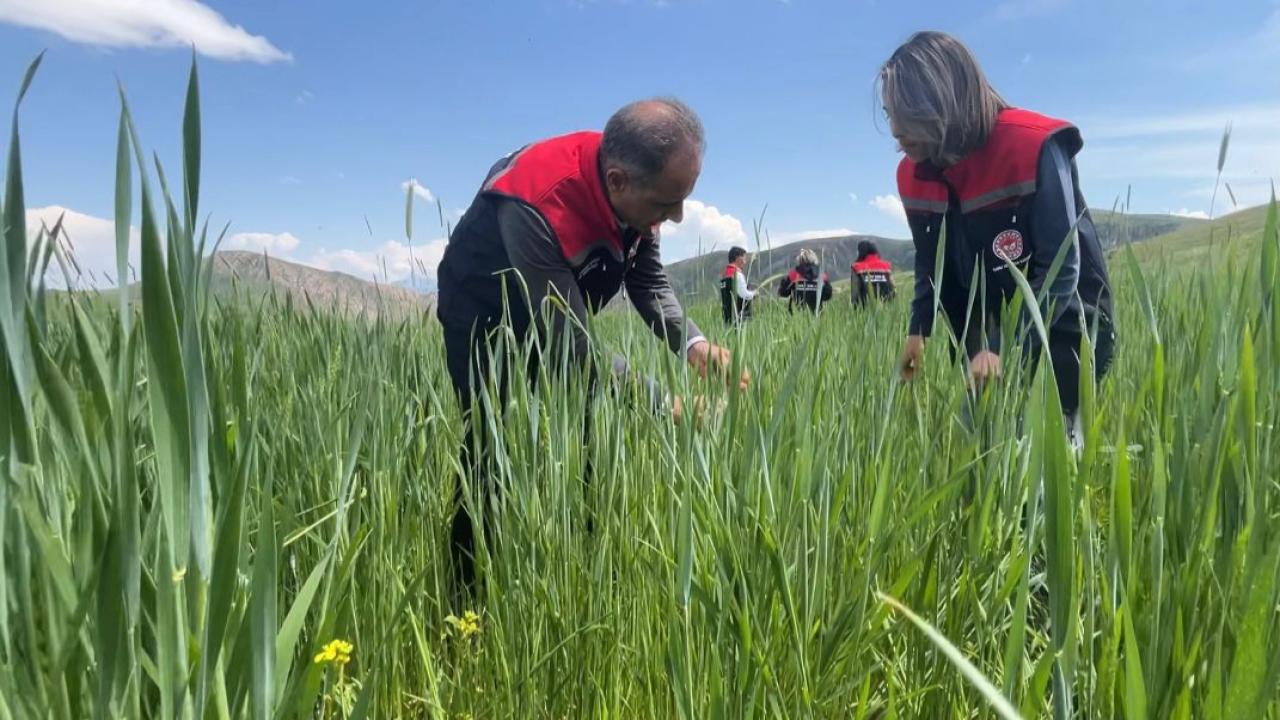 Tarım İl Müdürlüğü'nden hastalık riskine karşı yoğun mesai