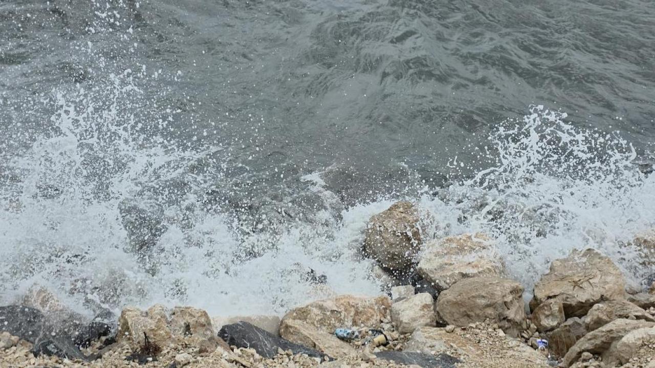 Van Gölü sahilinde rüzgar mesaisi başladı