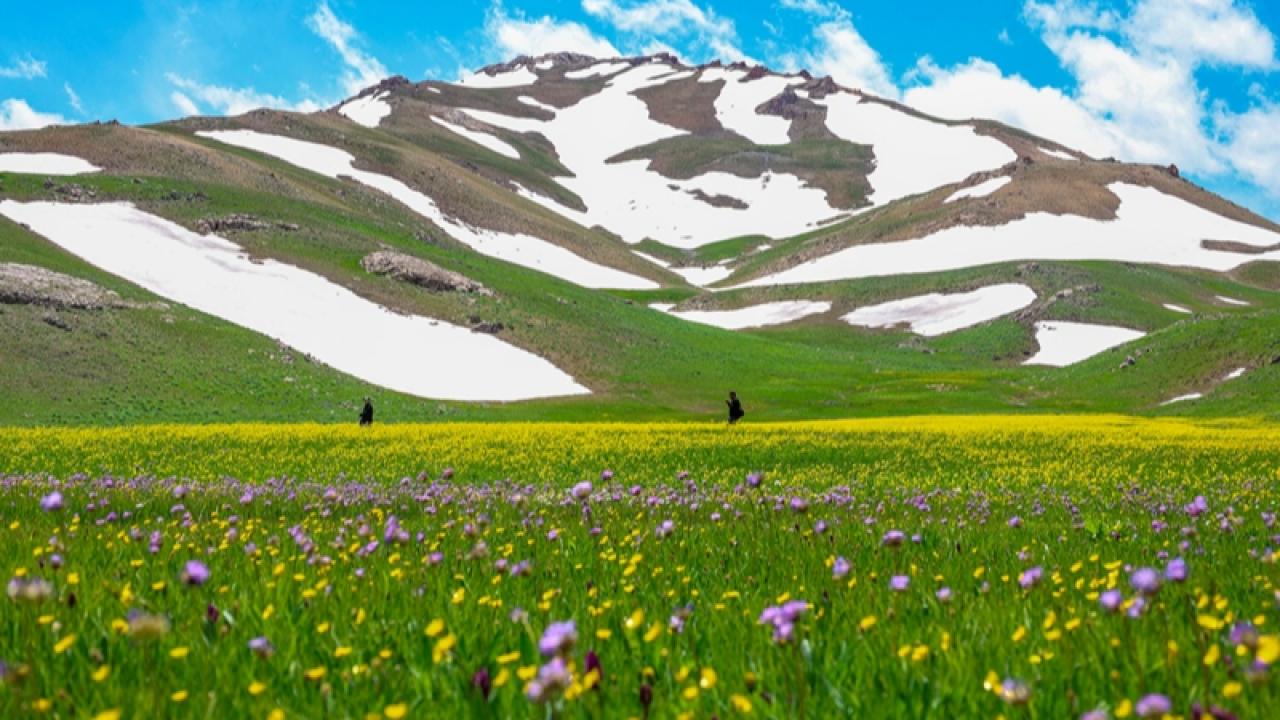 Van’da yayla ve kar manzarası bir arada