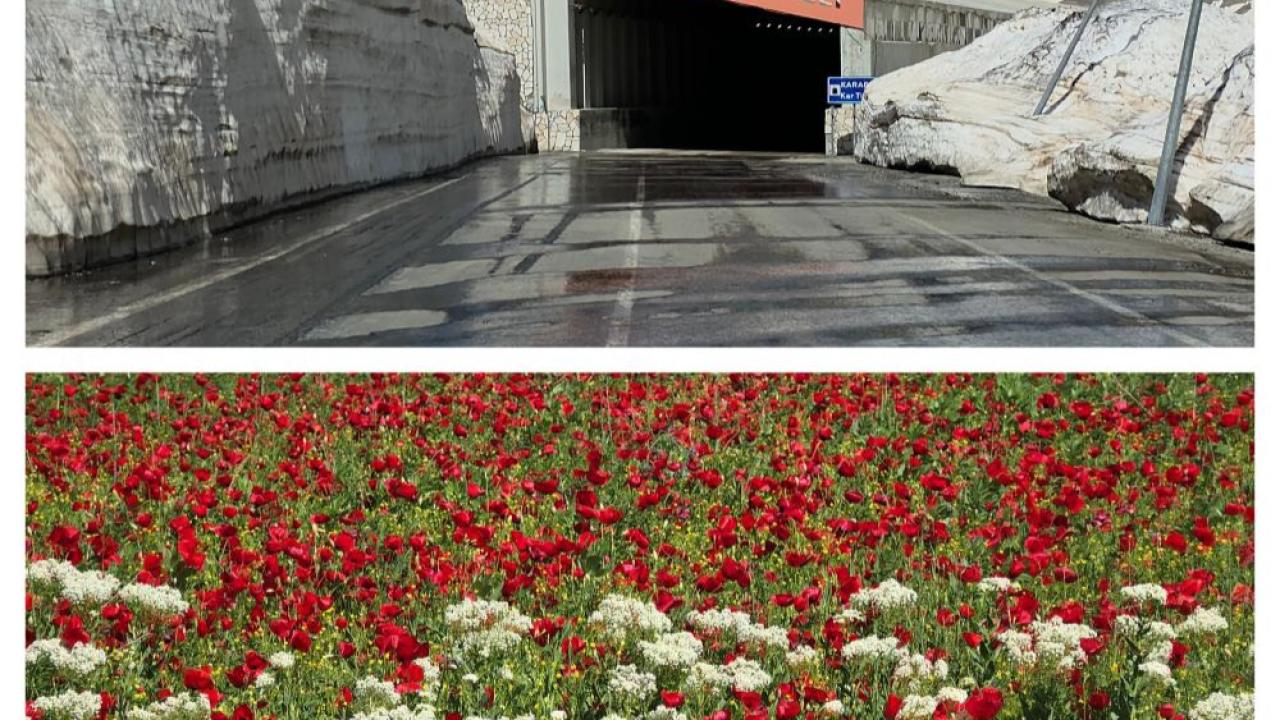 Van'ın bir yanı bahar, bir yanı kış