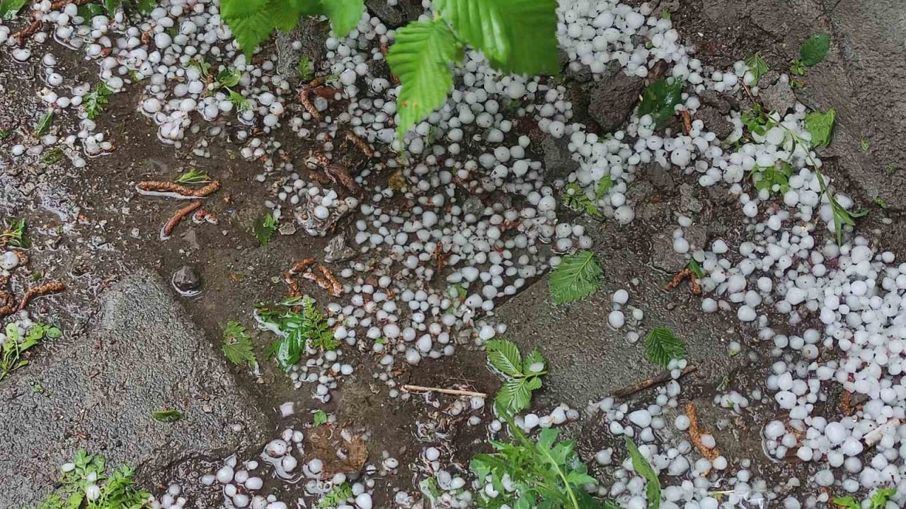 Ardahan’da sağanak ve dolu yağışı tarım arazilerine zarar verdi