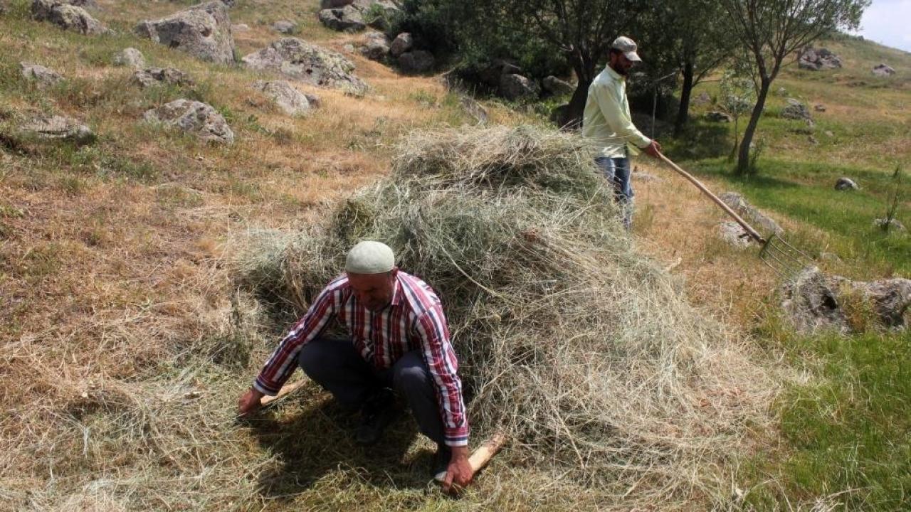 Çiftçiler kış için ot mesaisinde