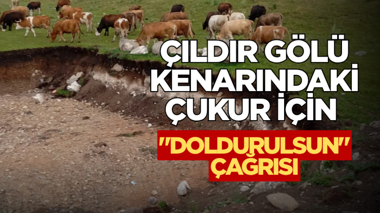 Çıldır Gölü kenarındaki çukur için "Doldurulsun" çağrısı