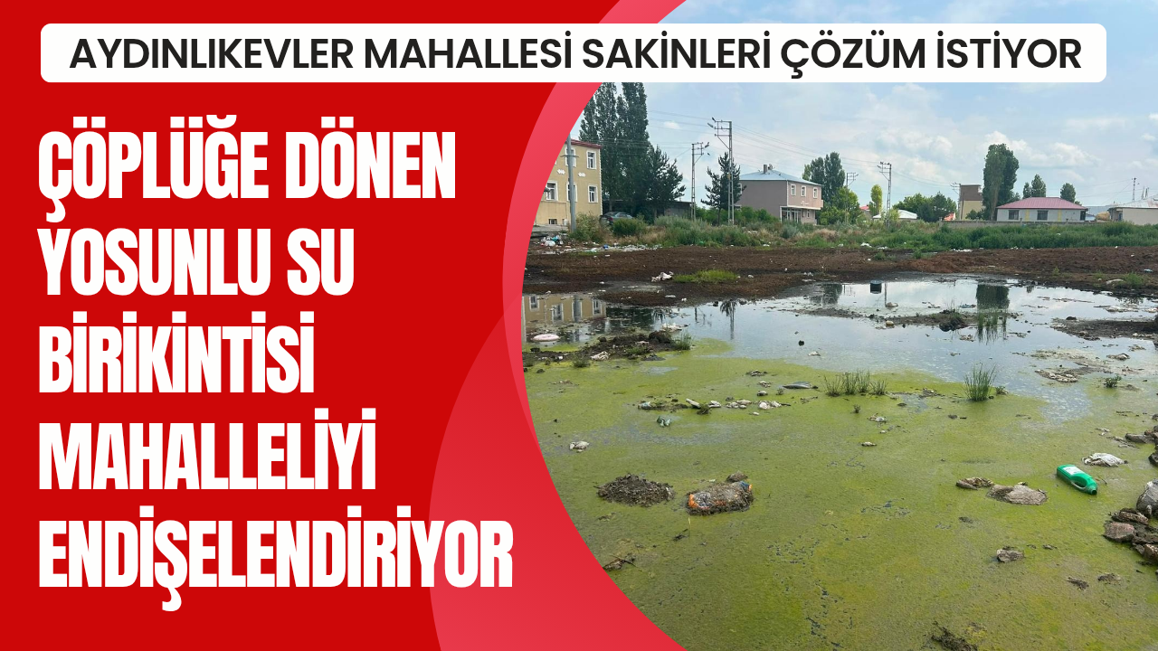 Çöplüğe dönen alandaki yosunlu su birikintisine çözüm bekleniyor