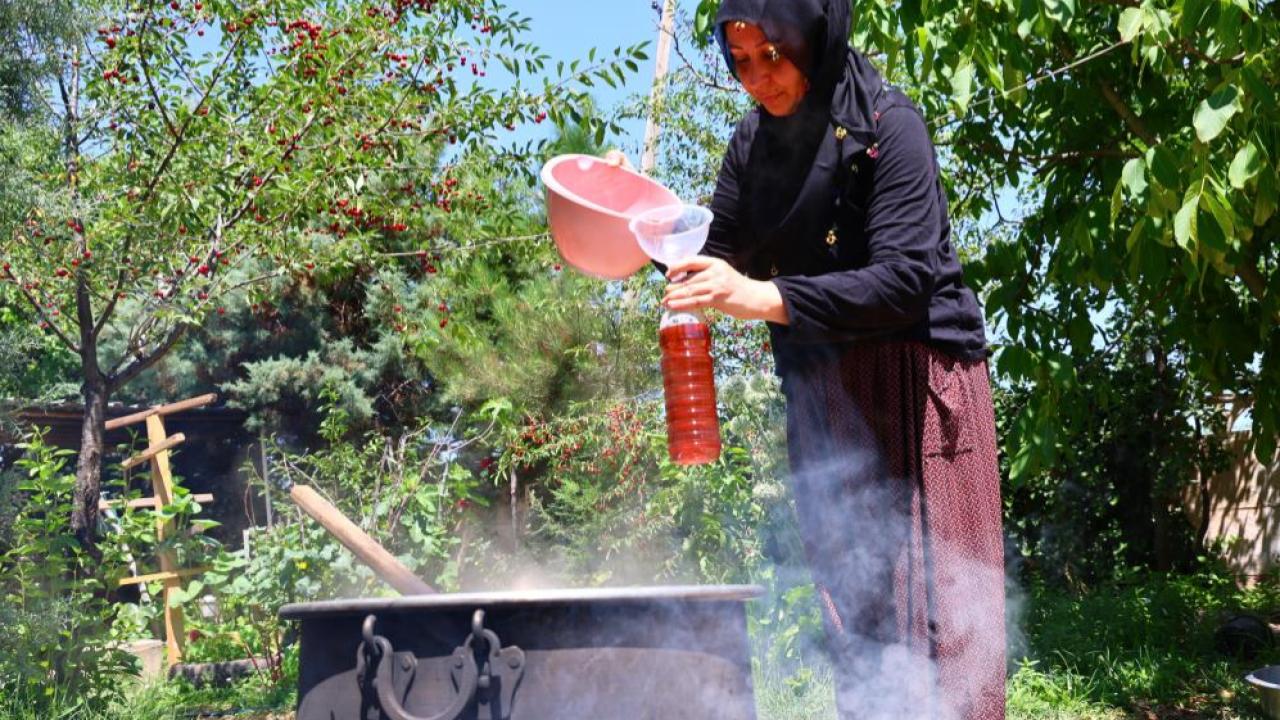 Elazığ'da doğal kozalak şurubu mesaisi