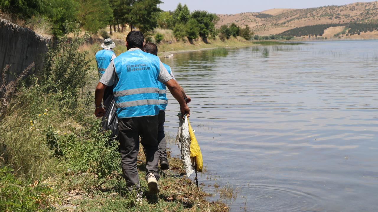 Hazar Gölü kıyıları denetimli serbestlikle güzelleşiyor
