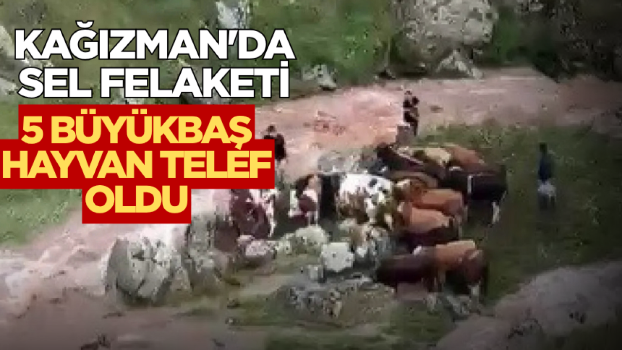 Kağızman'da sel felaketi: 5 büyükbaş hayvan telef oldu
