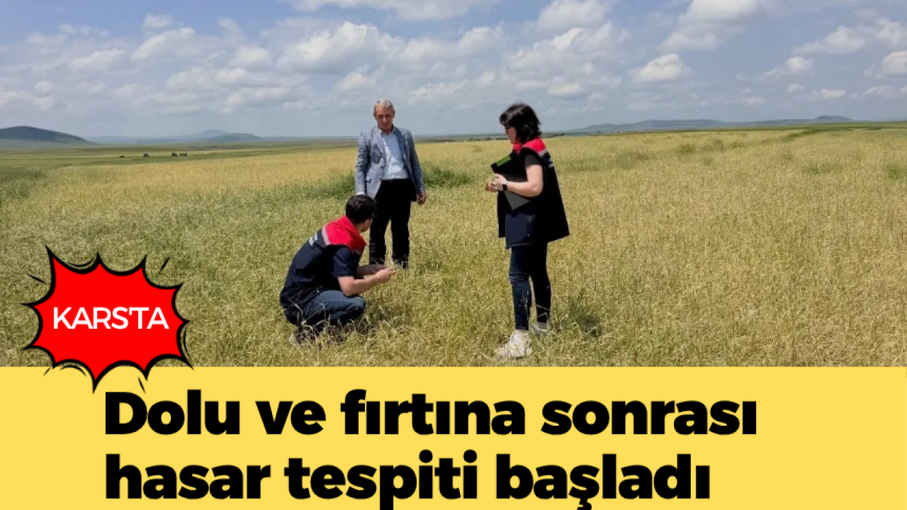 Kars'ta dolu ve fırtına ekili alanları vurdu