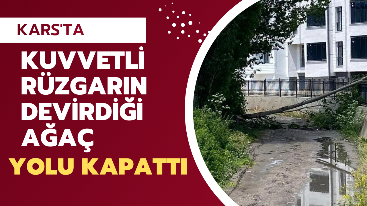 Kars’ta kuvvetli rüzgarın devirdiği ağaç yolu kapattı