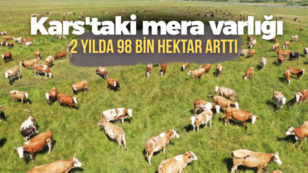 Kars'ta mera varlığı iki yılda 98 bin hektar arttı