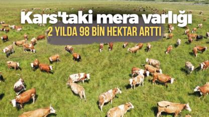 Kars'ta mera varlığı iki yılda 98 bin hektar arttı