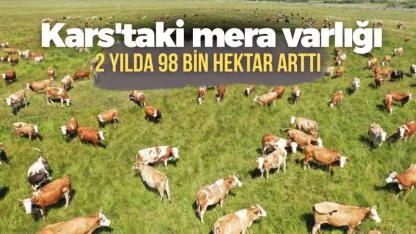 Kars'ta mera varlığı iki yılda 98 bin hektar arttı