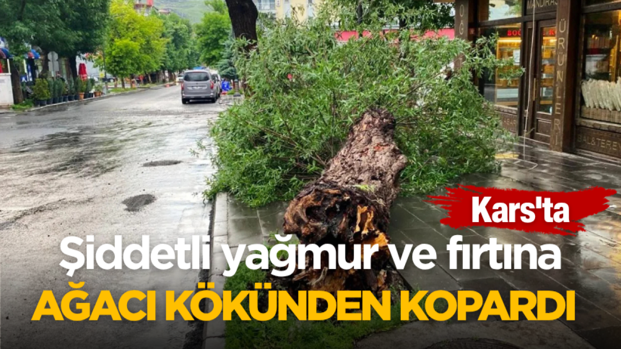 Kars’ta şiddetli yağmur ve fırtına ağacı kökünden kopardı