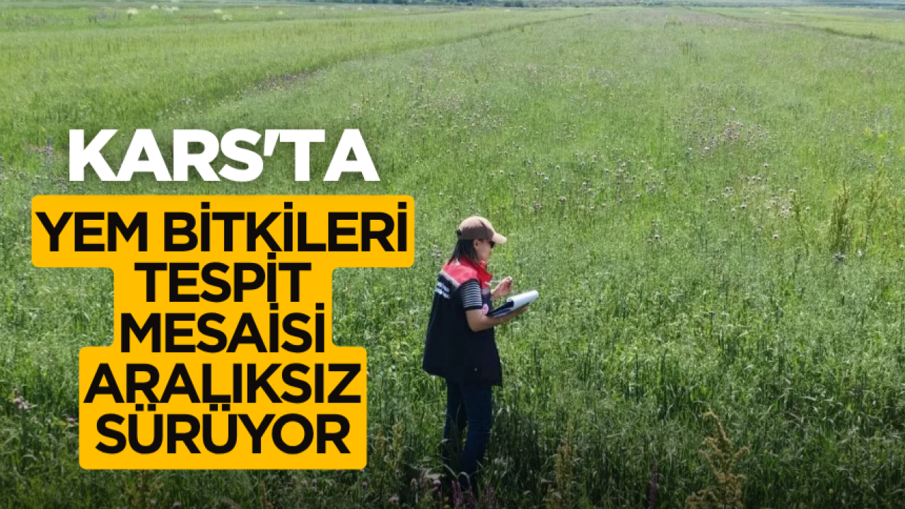 Kars’ta yem bitkileri tespit mesaisi aralıksız sürüyor
