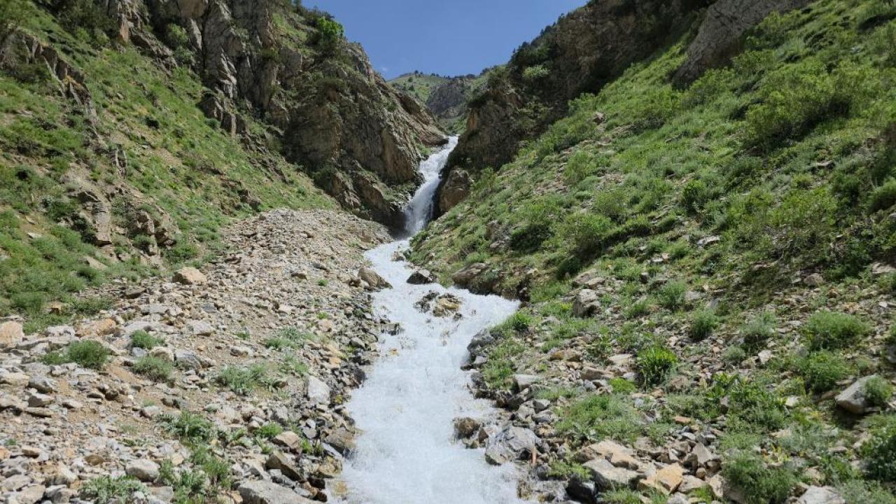 Kuruyan su kaynağı 20 yıl sonra canlandı