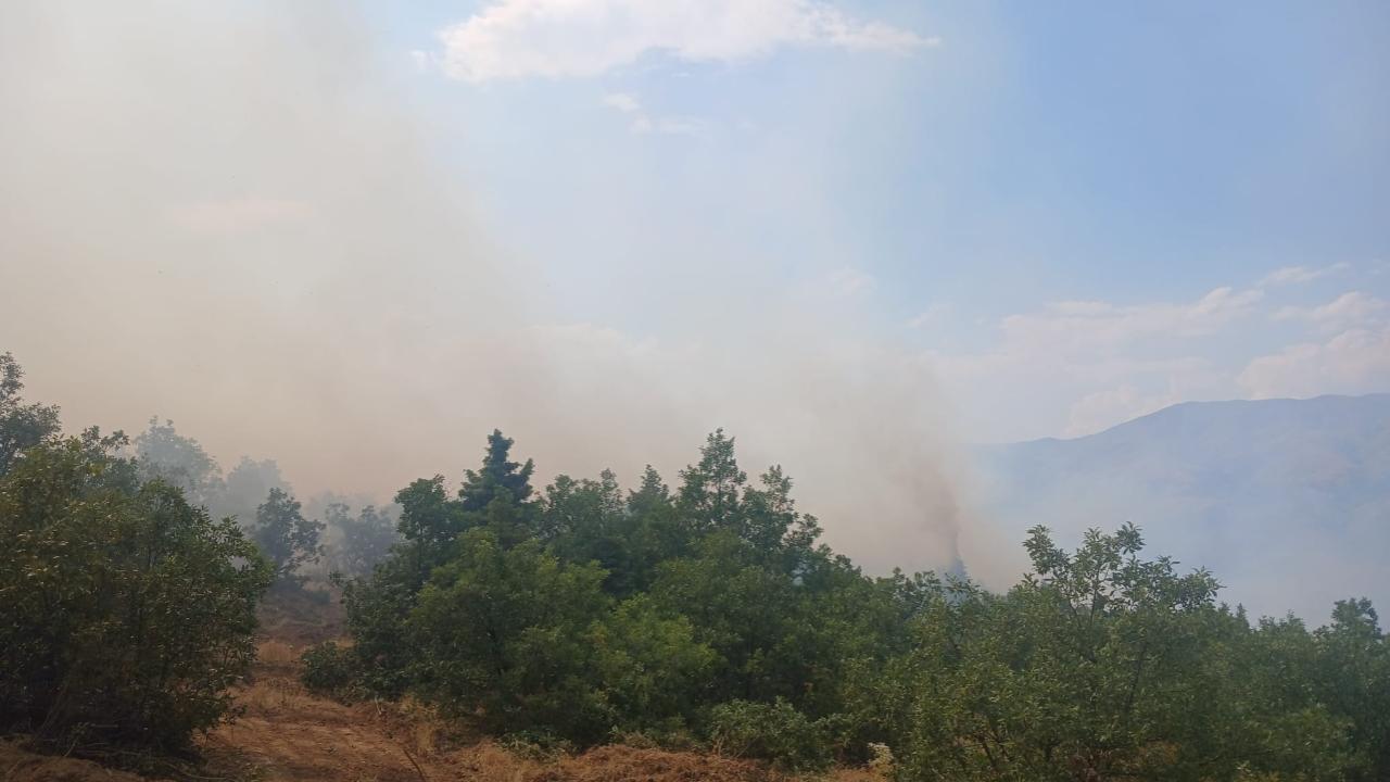 Malatya Pütürge'deki orman yangınına müdahale ediliyor
