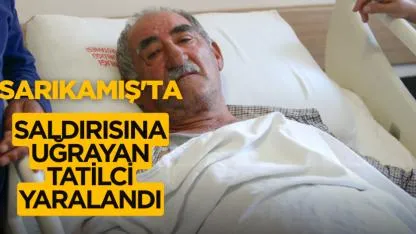 Sarıkamış'ta ayı saldırısına uğrayan tatilci yaralandı