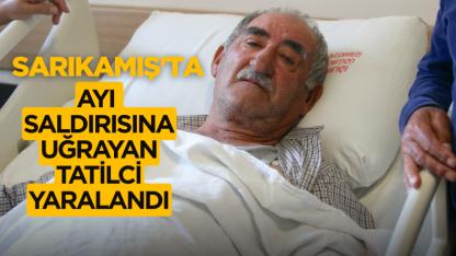 Sarıkamış'ta ayı saldırısına uğrayan tatilci yaralandı
