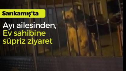 Sarıkamış'ta bahçeye giren ayılar ev sahiplerini bekletti