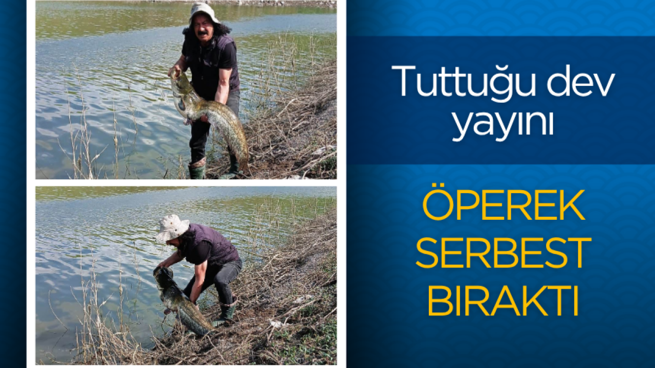 Tuttuğu dev yayını öperek özgür bıraktı