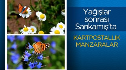 Yağışlar sonrası Sarıkamış'ta kartpostallık manzaralar